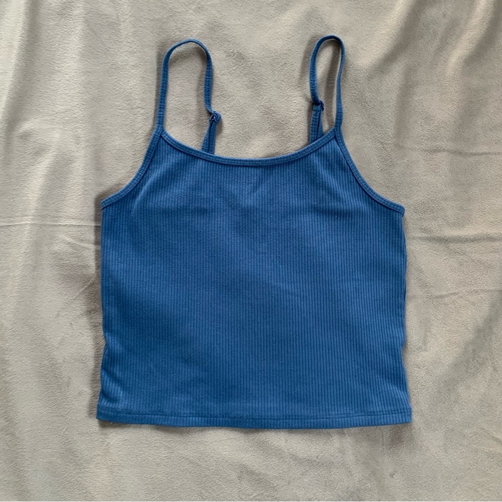 AE Crop Cami (Blue)